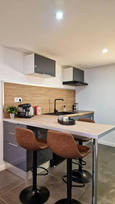 Apartmán L'Atelier C Magnifique Loft Avec Terrasse Privee Saint-Etienne  Exteriér fotografie
